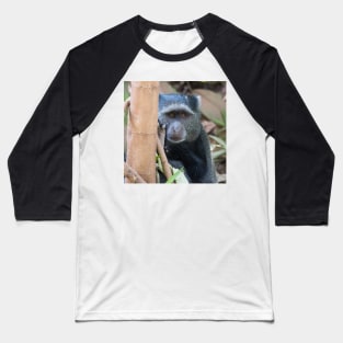 Blue Monkey Baseball T-Shirt